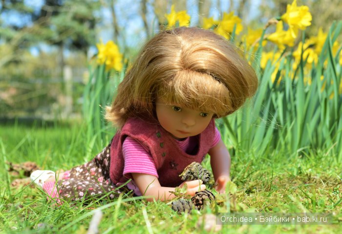 В краю магнолий плещет море. Прогулки с минуш среди цветов и бабочек