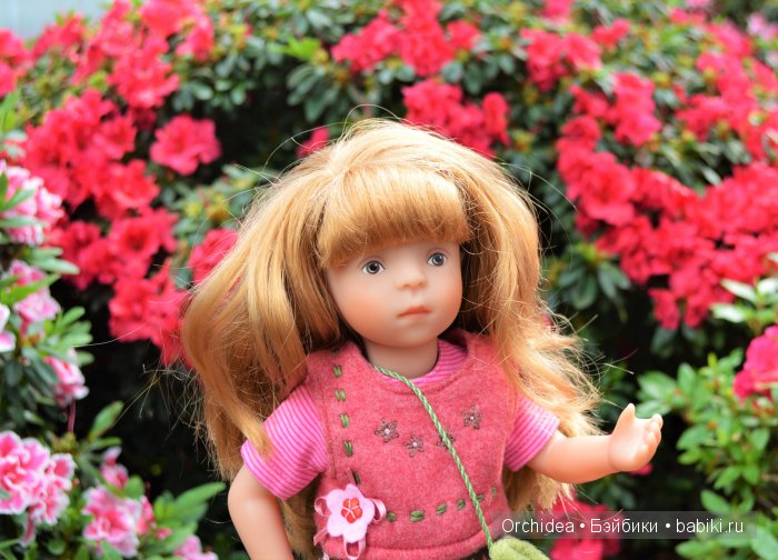 В краю магнолий плещет море. Прогулки с минуш среди цветов и бабочек