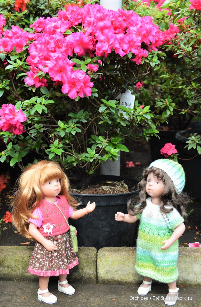 В краю магнолий плещет море. Прогулки с минуш среди цветов и бабочек