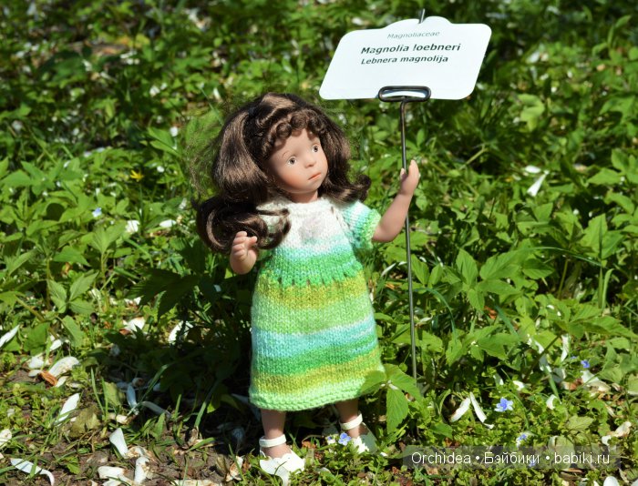 В краю магнолий плещет море. Прогулки с минуш среди цветов и бабочек