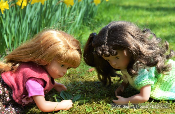 В краю магнолий плещет море. Прогулки с минуш среди цветов и бабочек