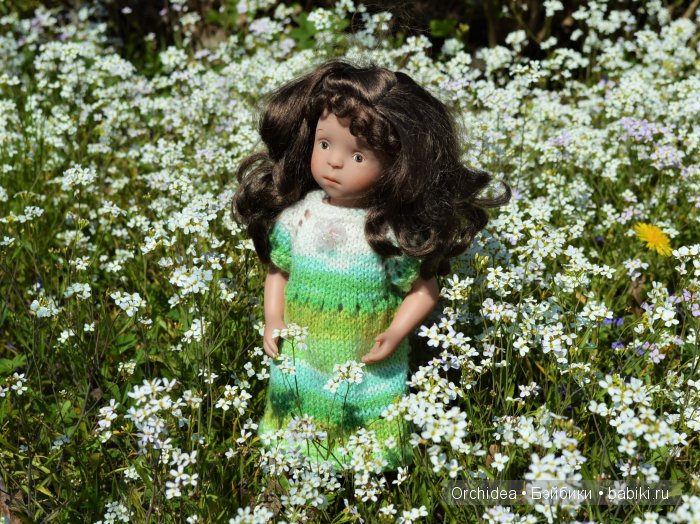 В краю магнолий плещет море. Прогулки с минуш среди цветов и бабочек