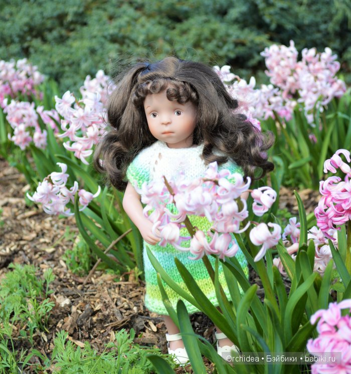 В краю магнолий плещет море. Прогулки с минуш среди цветов и бабочек