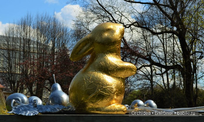В краю магнолий плещет море. Прогулки с минуш среди цветов и бабочек