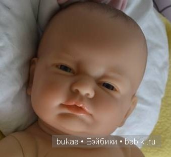 Berenguer SE собираю информацию (фото 7)