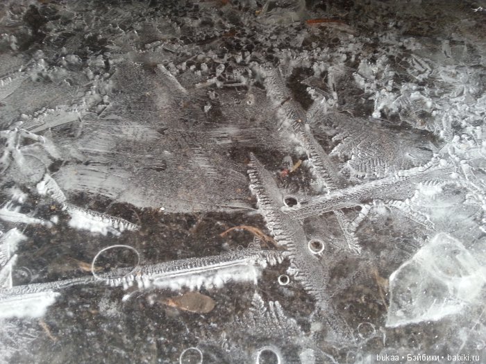 А мы с сыном сегодня красоту искали