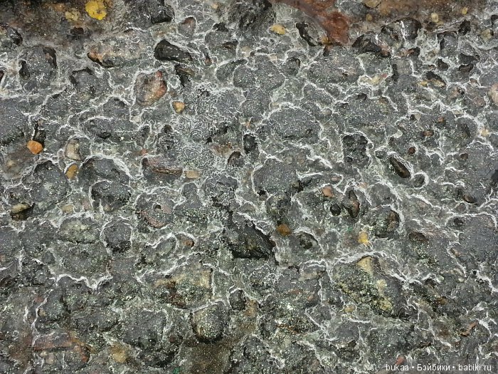 А мы с сыном сегодня красоту искали (фото 4)