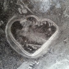 А мы с сыном сегодня красоту искали