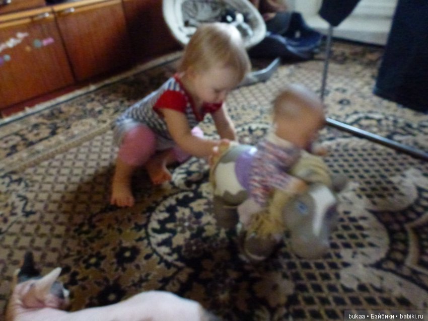 Небольшой обзор 2х очень удачных игрушек для маленькой девочки (фото 2)