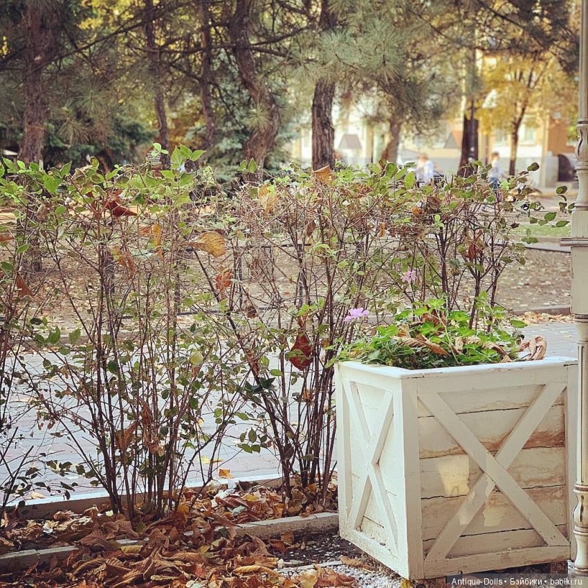 Automne provençal, Limoges France Mon Cheri Alfred Lanternier (фото 5)