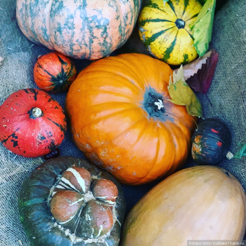 Automne provençal, Limoges France Mon Cheri Alfred Lanternier (фото 9)