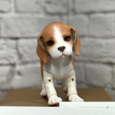 IpleHouse петы — щенок бигля