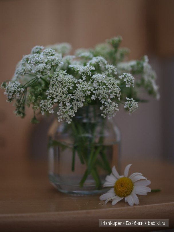 Куклы Софи, Sophie Käthe Kruse