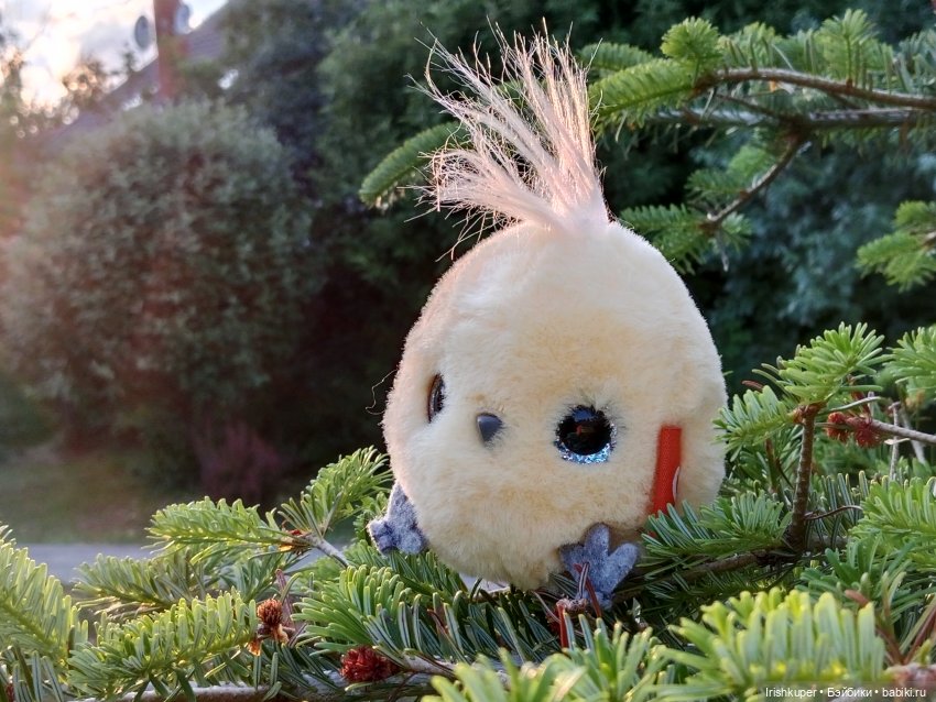 София (Карапуз). Мой лучик солнца