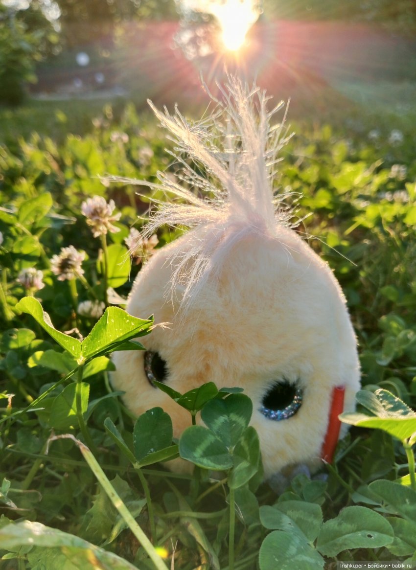 София (Карапуз). Мой лучик солнца