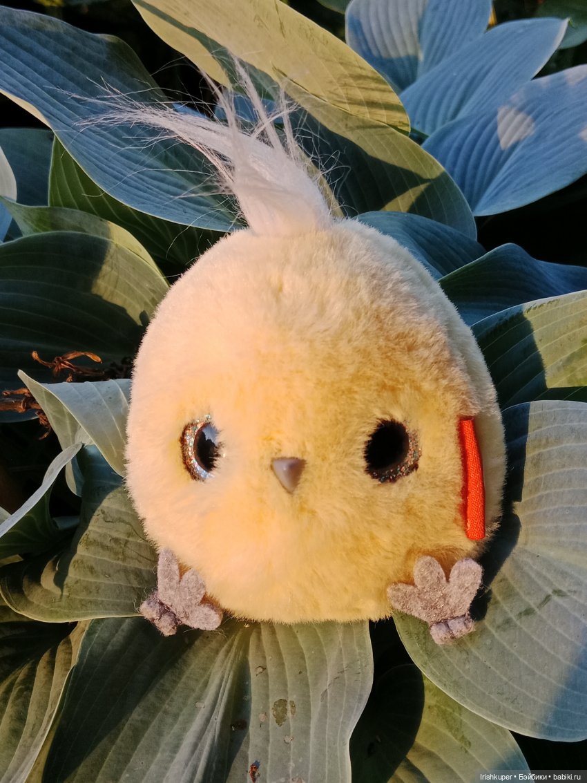 София (Карапуз). Мой лучик солнца