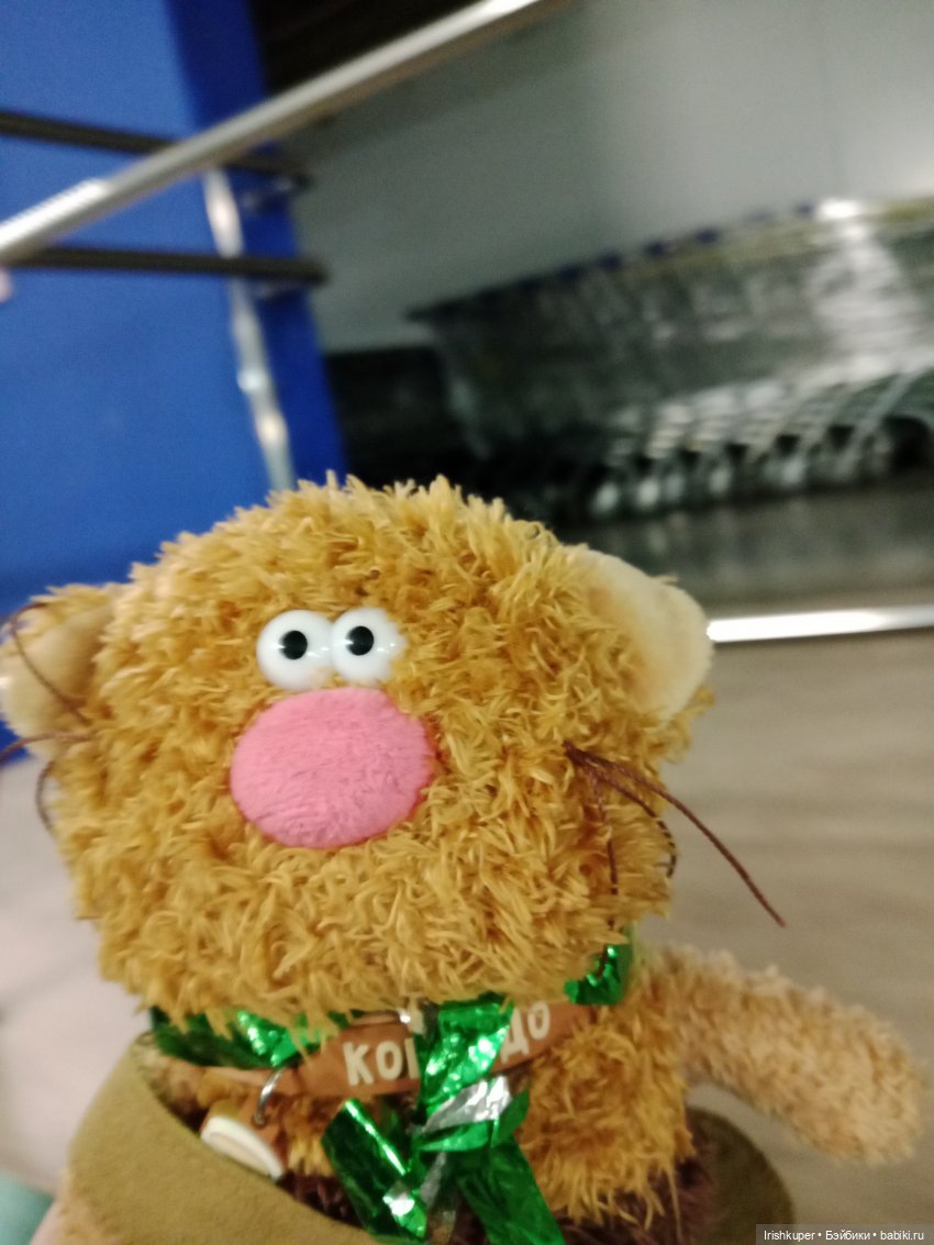 Репортаж из жизни кота Кортадо (Budi basa)