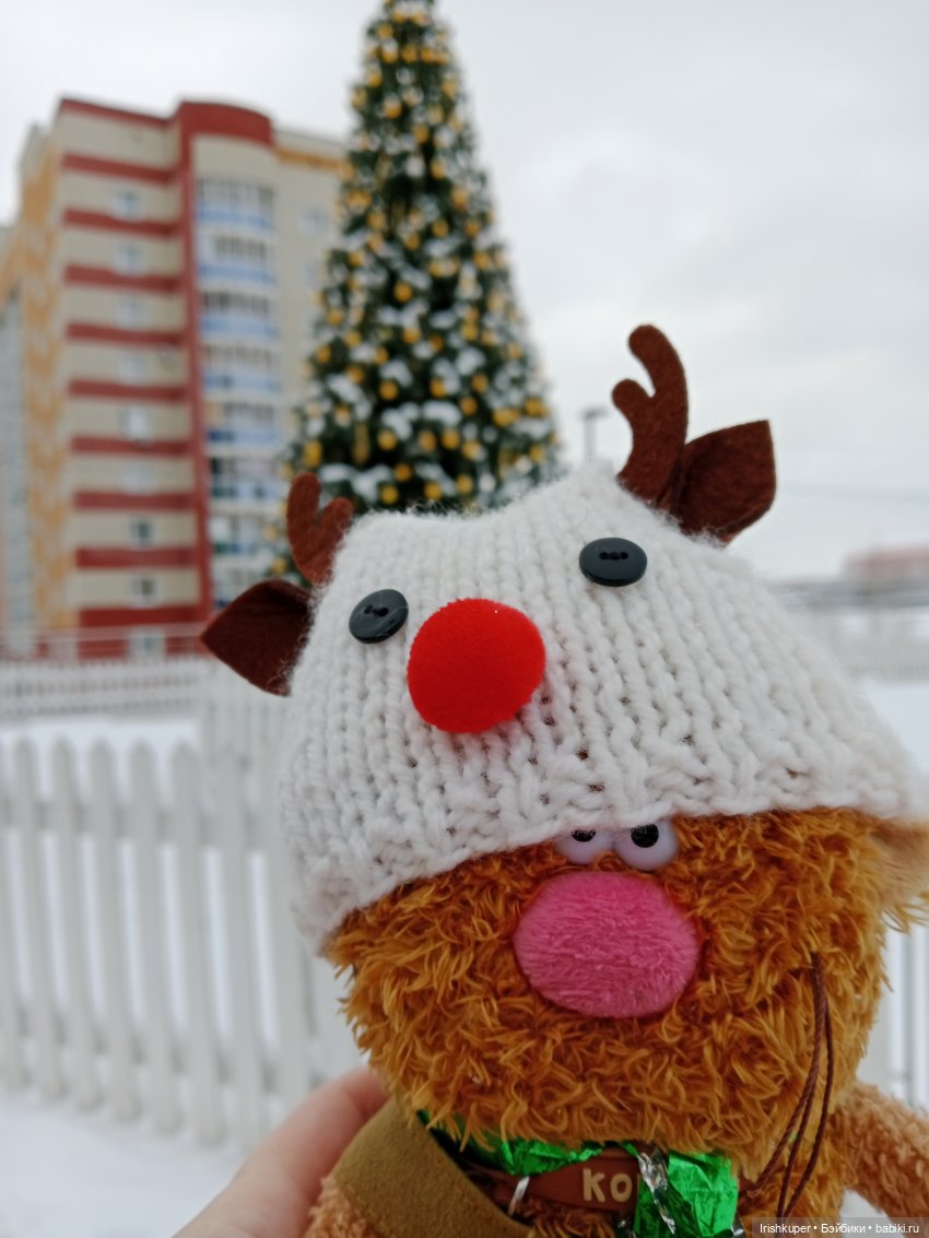 Репортаж из жизни кота Кортадо (Budi basa) (фото 5)