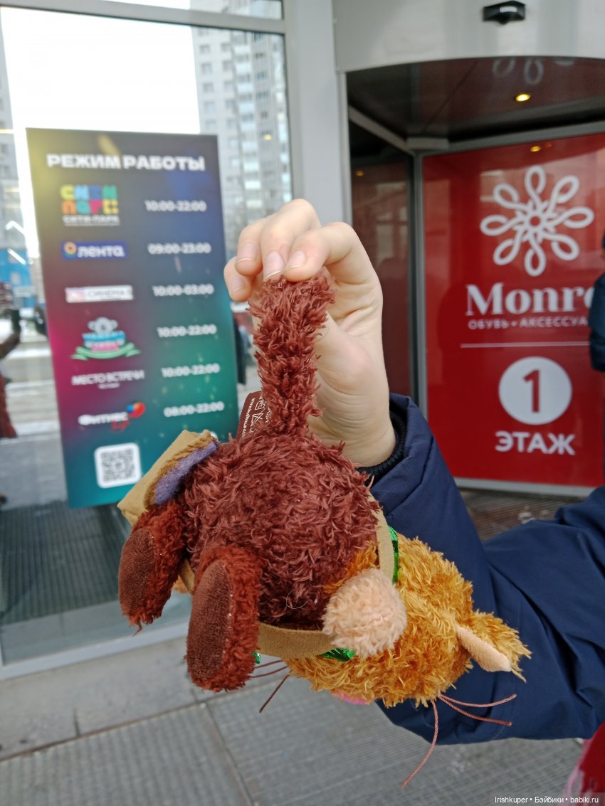 Репортаж из жизни кота Кортадо (Budi basa)