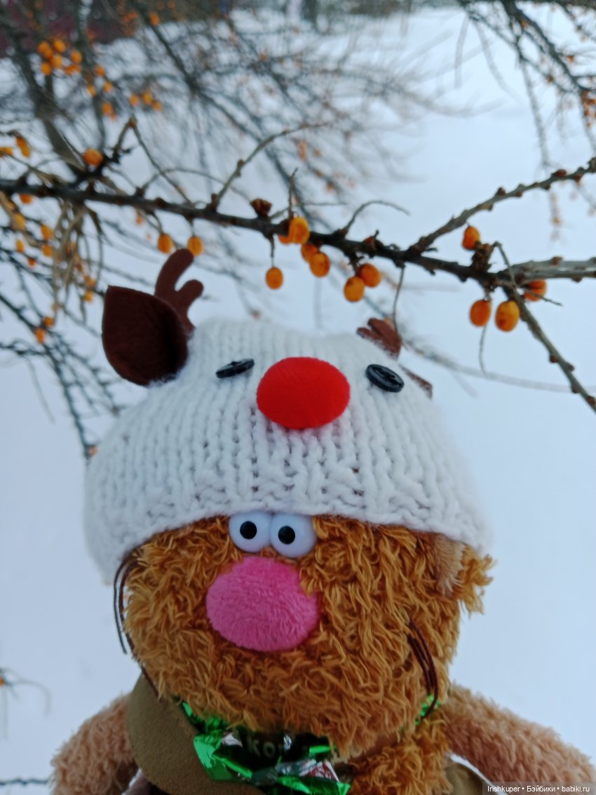 Репортаж из жизни кота Кортадо (Budi basa)