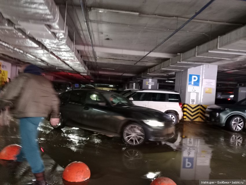 Репортаж из жизни кота Кортадо (Budi basa) (фото 10)