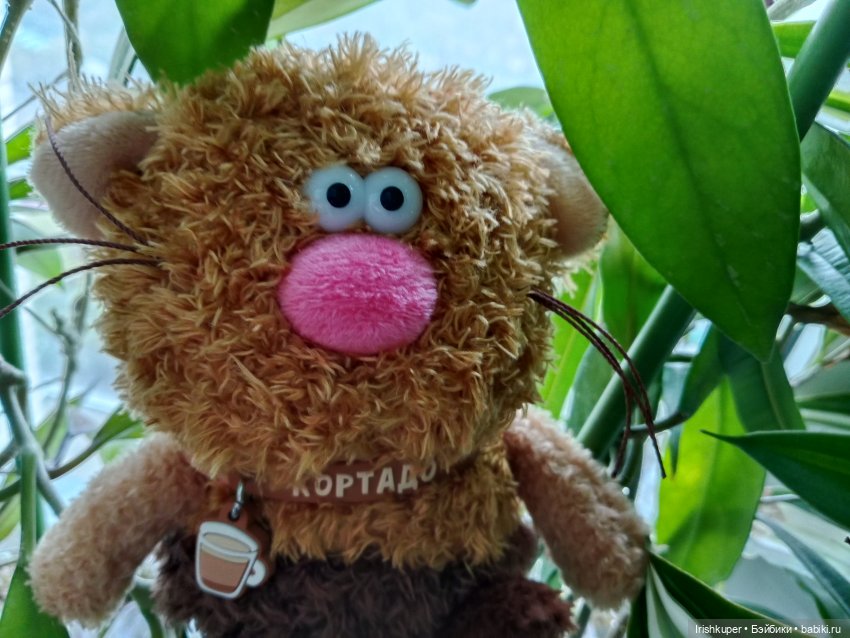 Размышления кота Кортадо (Budi basa)