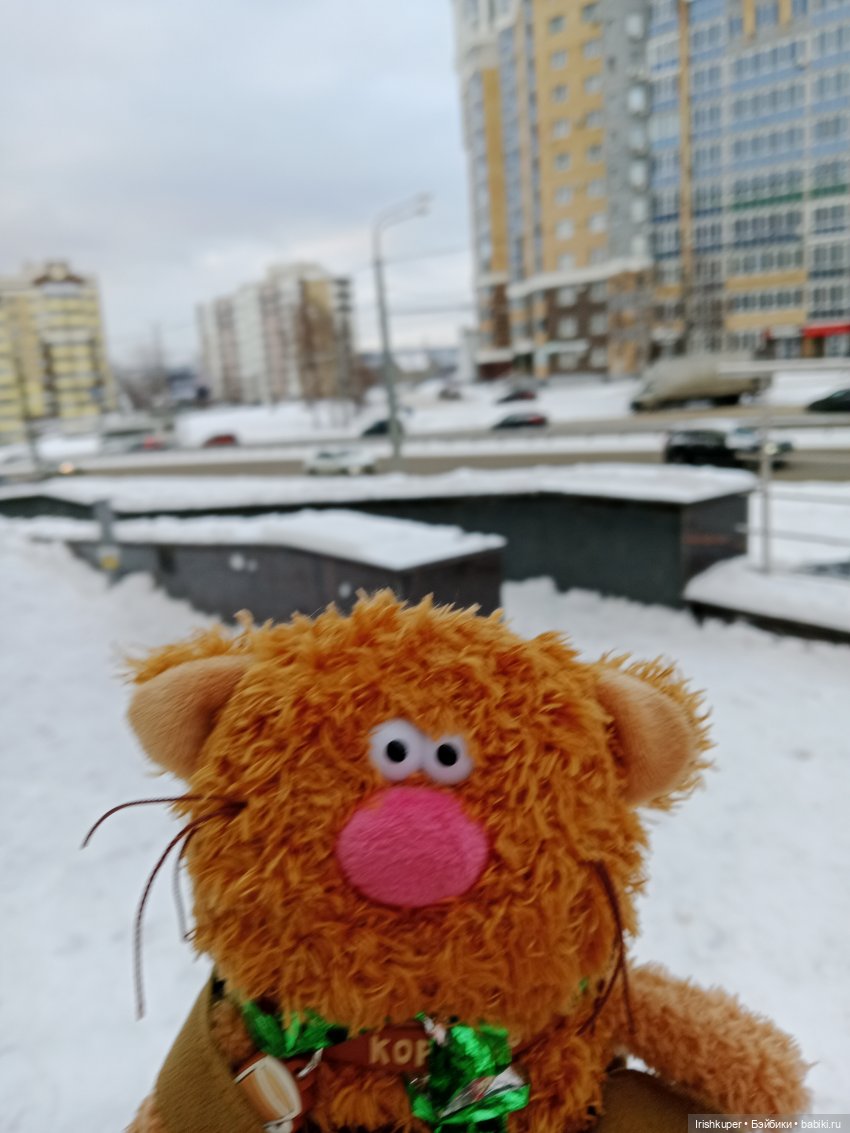 Репортаж из жизни кота Кортадо (Budi basa)