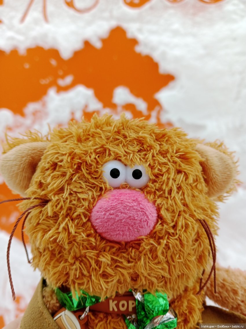 Репортаж из жизни кота Кортадо (Budi basa)