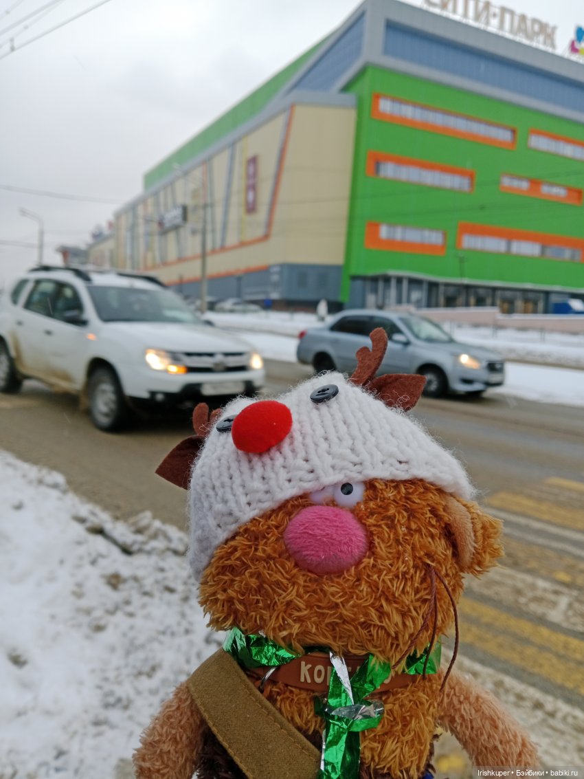 Репортаж из жизни кота Кортадо (Budi basa) (фото 4)