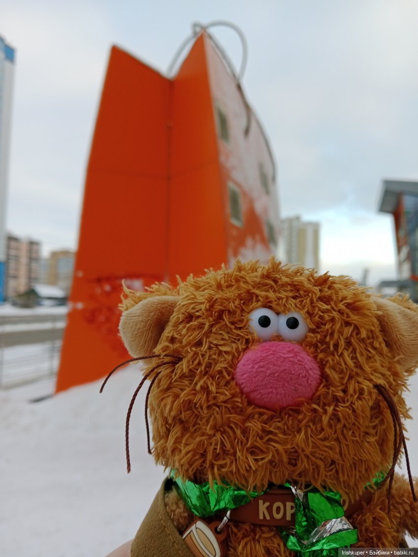 Репортаж из жизни кота Кортадо (Budi basa)