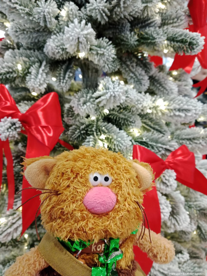 Репортаж из жизни кота Кортадо (Budi basa)