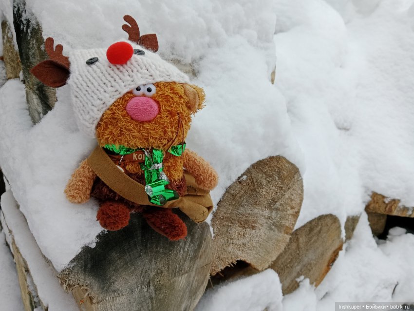 Репортаж из жизни кота Кортадо (Budi basa)