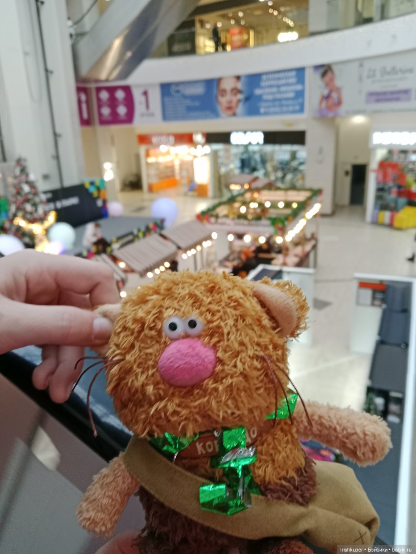 Репортаж из жизни кота Кортадо (Budi basa)