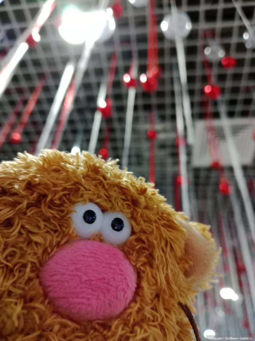 Репортаж из жизни кота Кортадо (Budi basa)