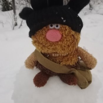 Репортаж из жизни кота Кортадо (Budi basa).