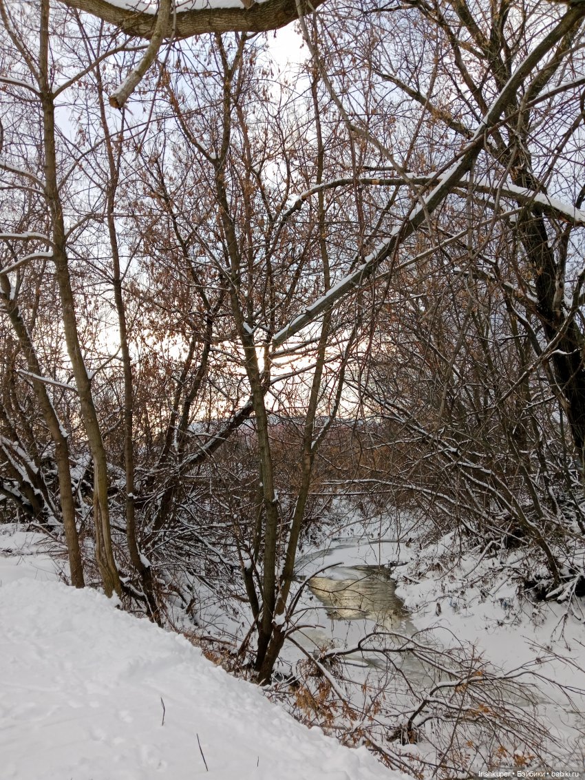 Кодекс чести кота Кортадо (Budi basa) (фото 3)