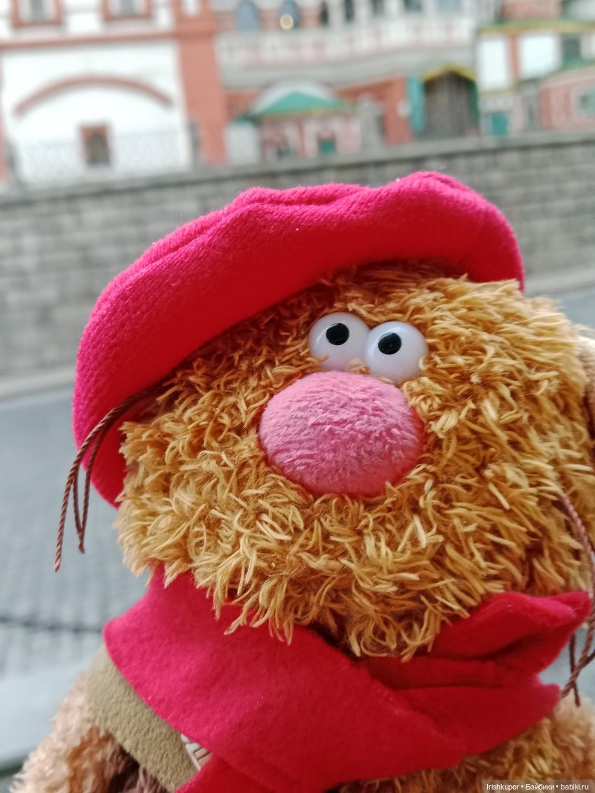 Alles ist rot или всё красное. Кофейный кот Кортадо гуляет в Зарядье