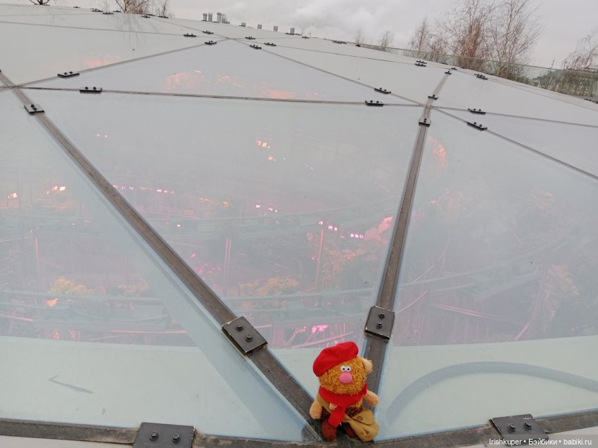 Alles ist rot или всё красное. Кофейный кот Кортадо гуляет в Зарядье (фото 5)