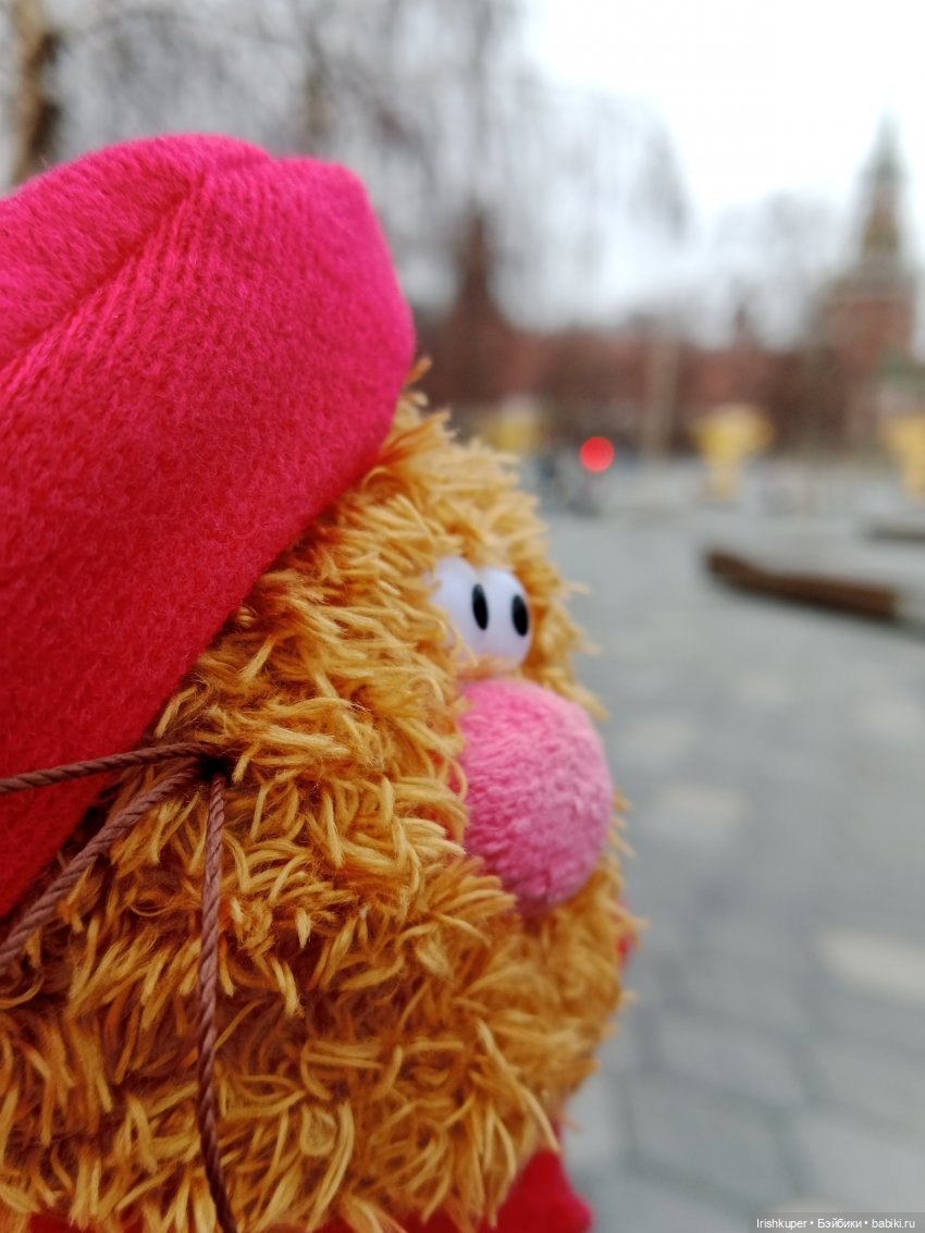 Alles ist rot или всё красное. Кофейный кот Кортадо гуляет в Зарядье