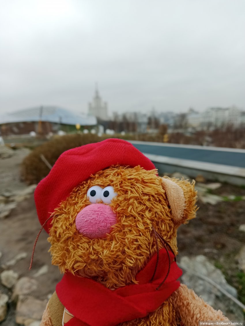 Alles ist rot или всё красное. Кофейный кот Кортадо гуляет в Зарядье (фото 8)