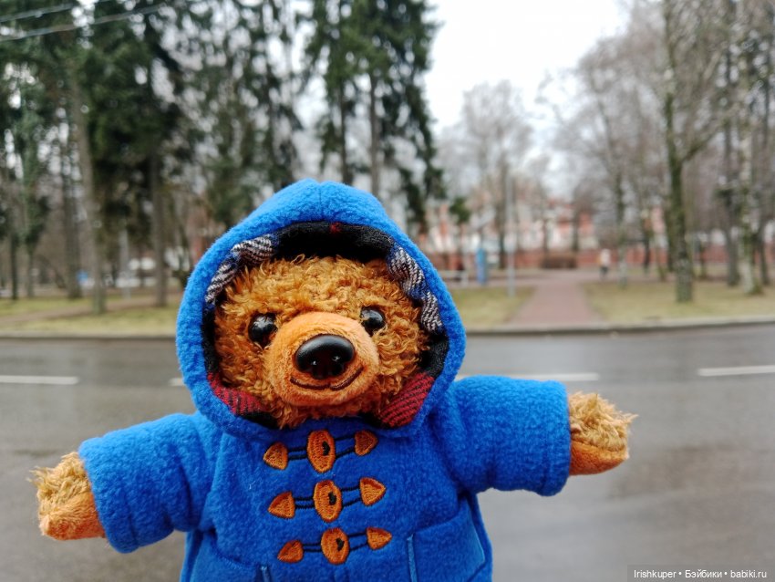 Мистер Паддингтон Браун младший. Не успел приехать, уже освоился (фото 7)