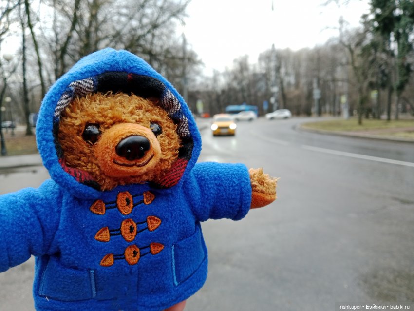 Мистер Паддингтон Браун младший. Не успел приехать, уже освоился (фото 5)