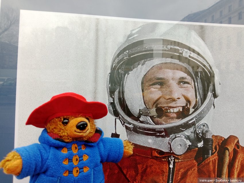 Мистер Паддингтон Браун младший. Не успел приехать, уже освоился