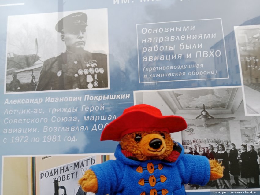 Мистер Паддингтон Браун младший. Не успел приехать, уже освоился