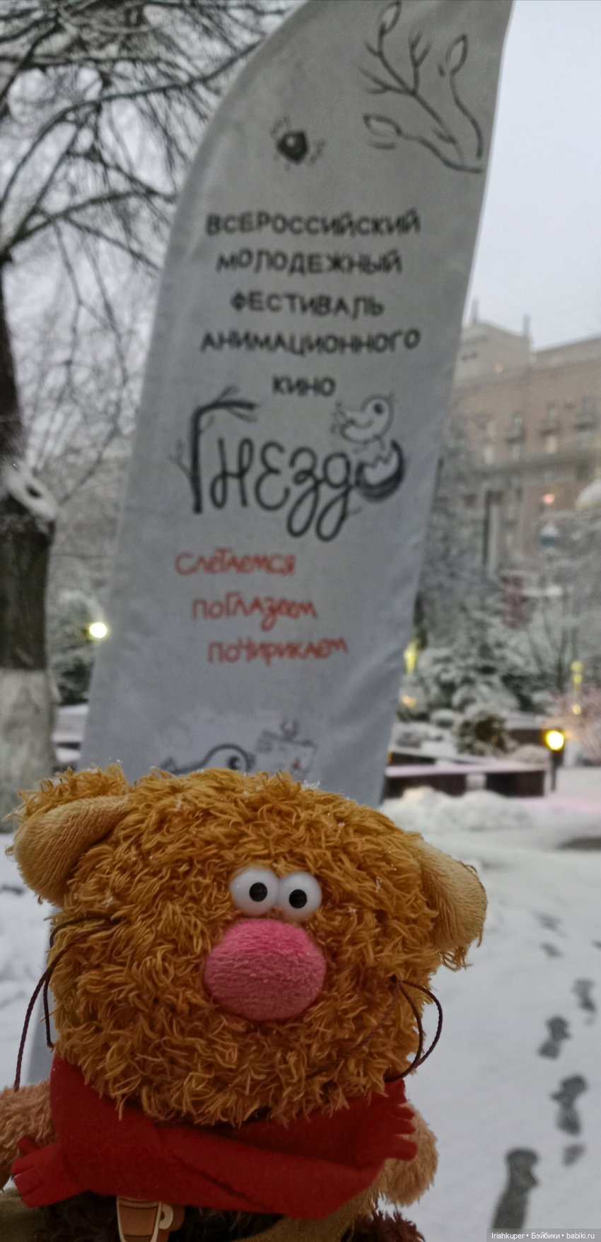 Репортаж кота Кортадо (Всероссийский молодежный фестиваль анимационного кино Гнездо)