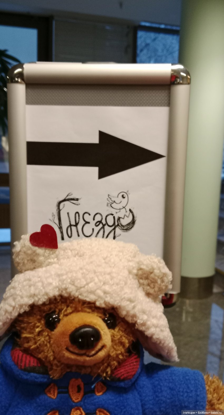 Репортаж кота Кортадо (Всероссийский молодежный фестиваль анимационного кино Гнездо) (фото 5)