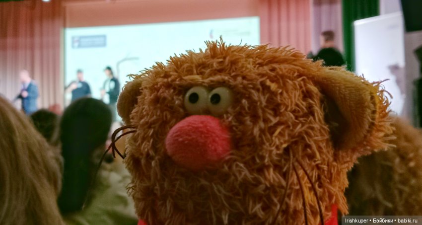 Репортаж кота Кортадо (Всероссийский молодежный фестиваль анимационного кино Гнездо)