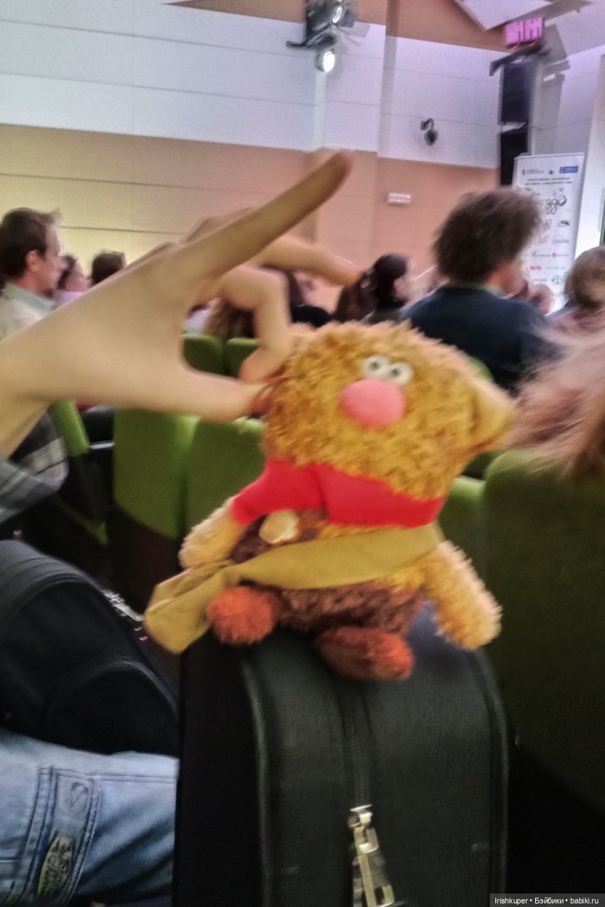 Репортаж кота Кортадо (Всероссийский молодежный фестиваль анимационного кино Гнездо)