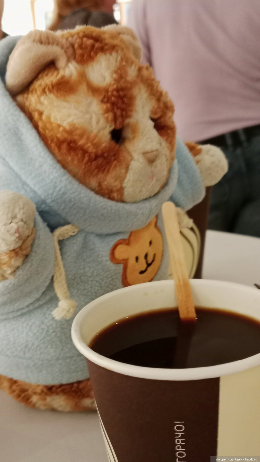 Репортаж кота Кортадо (Всероссийский молодежный фестиваль анимационного кино Гнездо)