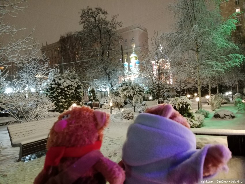 Репортаж кота Кортадо (Всероссийский молодежный фестиваль анимационного кино Гнездо)